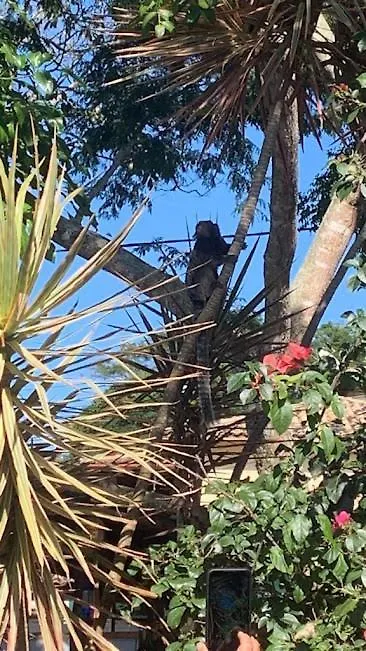 Recanto Da Ursa Búzios Inn